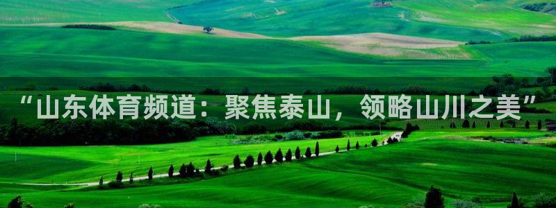 “山东体育频道：聚焦泰山，领略山川之美”